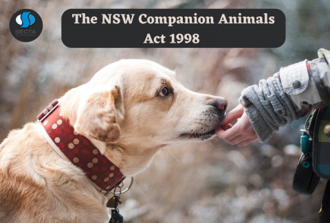 The NSW Companion Animals Act 1998