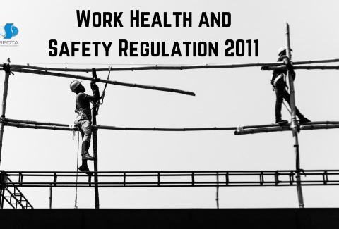 Work Health and Safety Regulation 2011