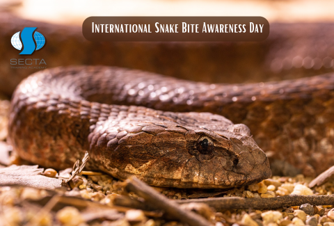 International Snake Bite Awareness Day