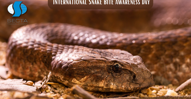 International Snake Bite Awareness Day