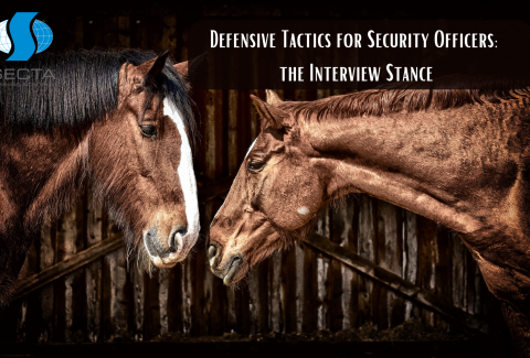 Defensive Tactics for Security Officers the Interview Stance