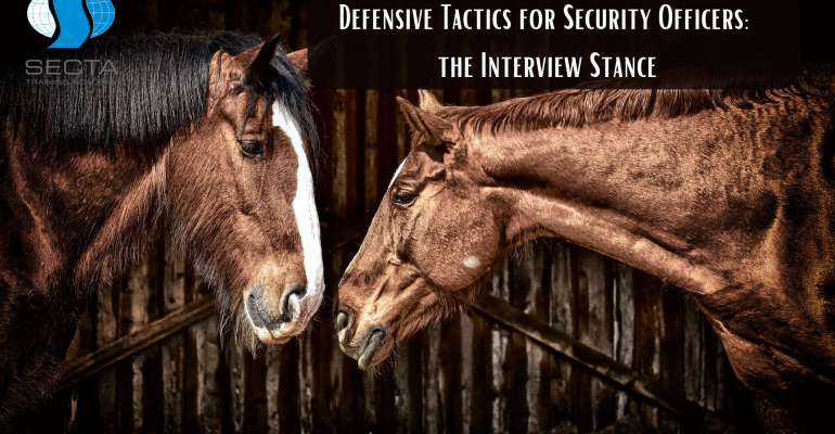 Defensive Tactics for Security Officers the Interview Stance
